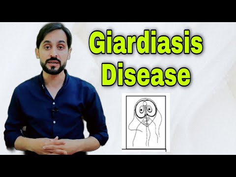 Giardia diarrhea comes and goes