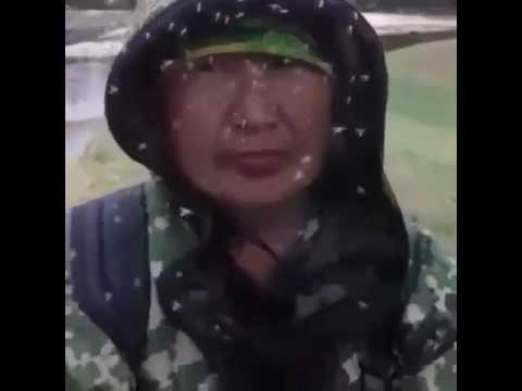Якутские комары