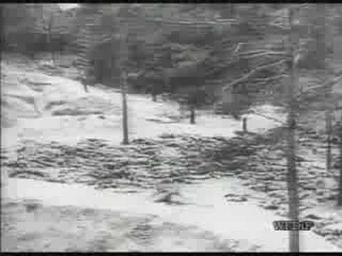 Katyn massacre in Soviet union. Horror. Video
