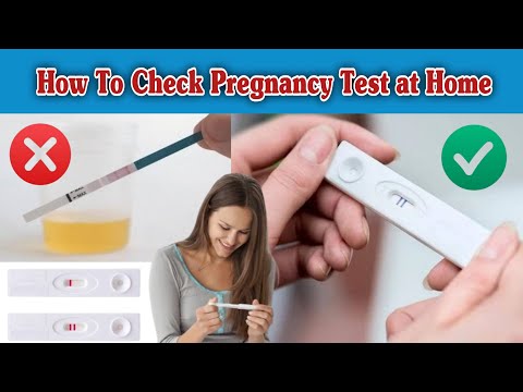 Pregnancy Week By Week 1 41 Weeks Fetal Developments