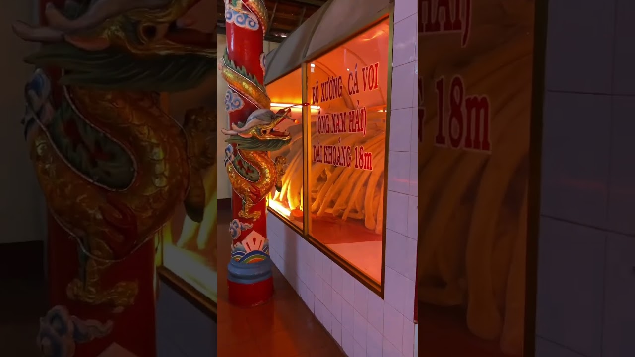 YouTube Short thumbnail