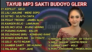 Download lagu TAYUB TERBARU SAKTI BUDOYO FULL ALBUM MP3 mp3
