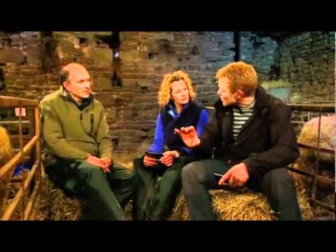 Lambing Live 2010 - Episode 3