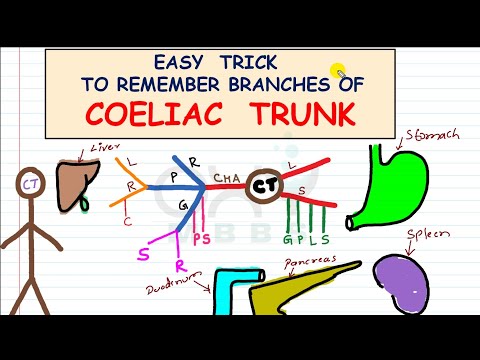 Easy Trick - For Branches of Coeliac Trunk
