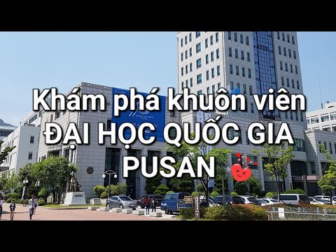 Trường đại học quốc gia Pusan trông như thế nào??