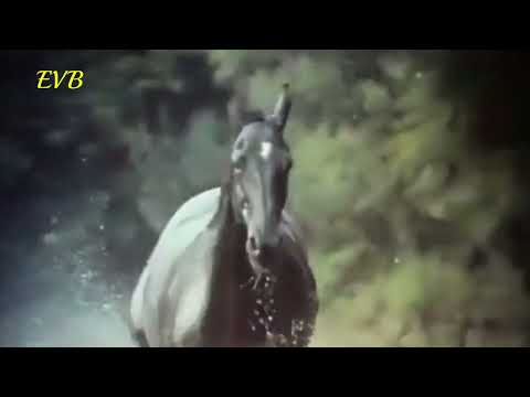 Black Beauty Theme (Galloping Home) London String Chorale 1974 Denis King #blackbeautytv NEW!