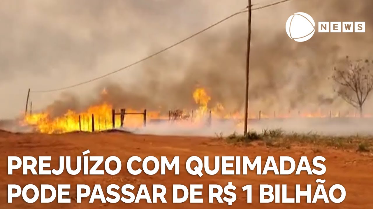 Prejuízo com queimadas pode passar de R$ 1 bilhão