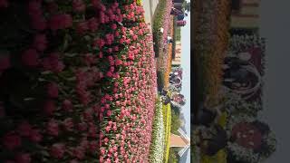 preview picture of video 'Houli Flower farm,Taichung Taiwan.'