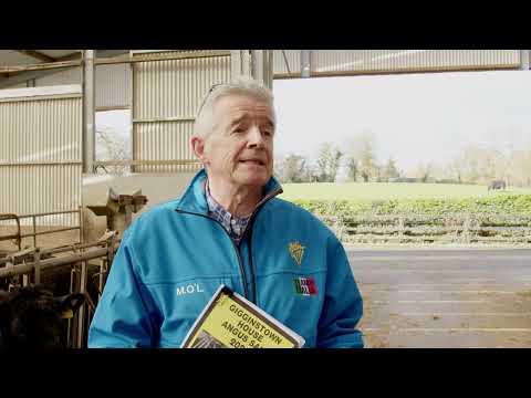 O'Leary: 'Loony' ideas will dramatically increase food prices