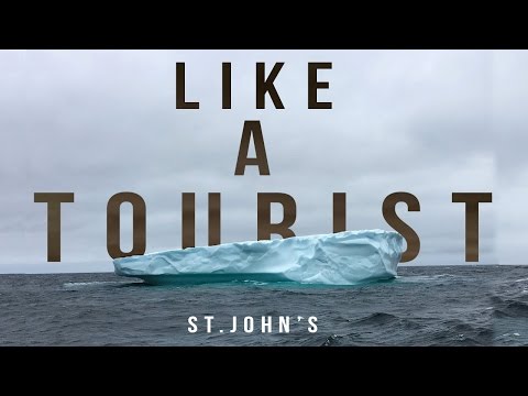 I WENT ICEBERG HUNTING! | Like A Tourist