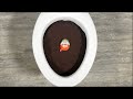 Will It Flush Coffee And Kinder Egg