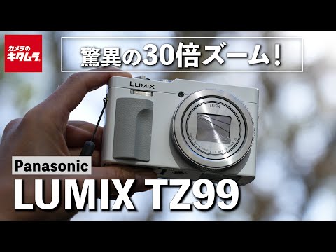 LUMIX DC-TZ99 中古 59,400円 | ネット最安値の価格比較 プライスランク