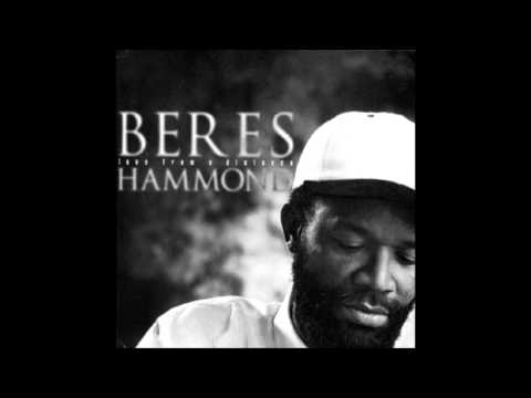 Take Time To Love (ft. Shaggy) lyrics