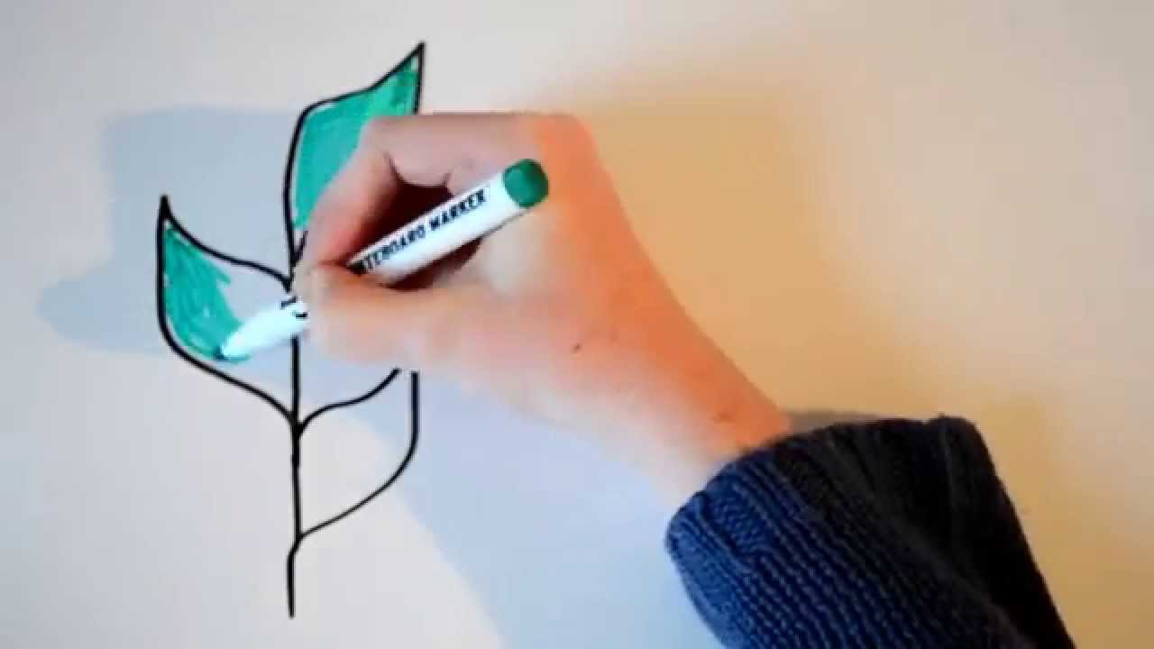 What is Bioprospecting?