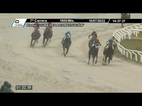 220716 c07 - DOG QUALITY - HIPODROMO LAS PIEDRAS  - PREFERENCIAL "JURA DE LA CONSTITUCIÓN"