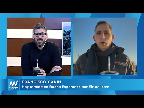 Francisco Garin - Hoy remate en Buena Esperanza por Elrural.com -MV