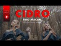 Trio Macan - Cidro