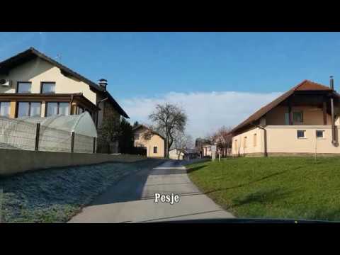 Pesje - Dolenja vas, januar 2020
