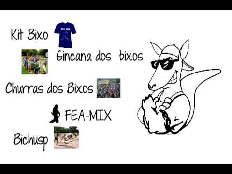 O Guia do Bixo FEA USP 2012