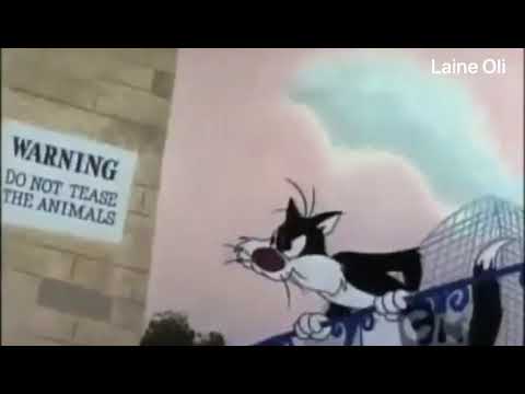 Piu Piu & Frajola ( Eu acho que vi um gatinho) ( dublagem/ desenho)