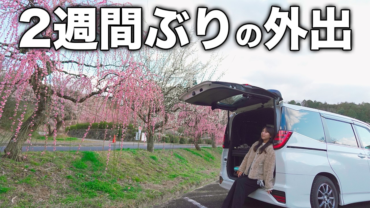 【家族全滅】旅が2週間完全停止していました