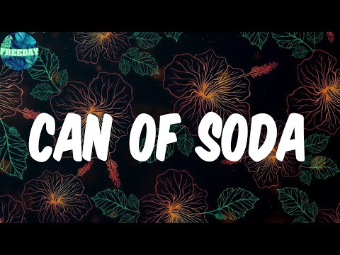 Gibrilville (Lyrics) - can of soda