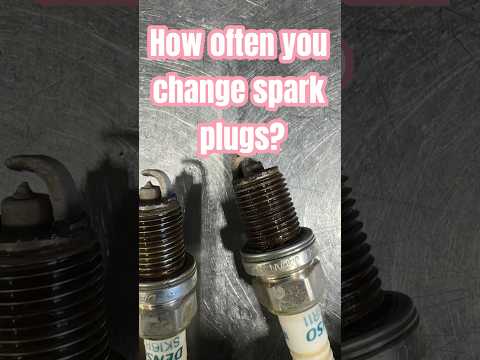 How often do you replace your spark plugs?