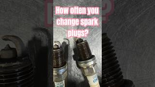 How often do you replace your spark plugs?