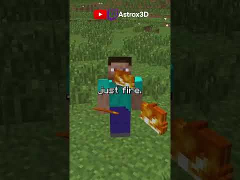 How to hold ILLEGAL items in Minecraft