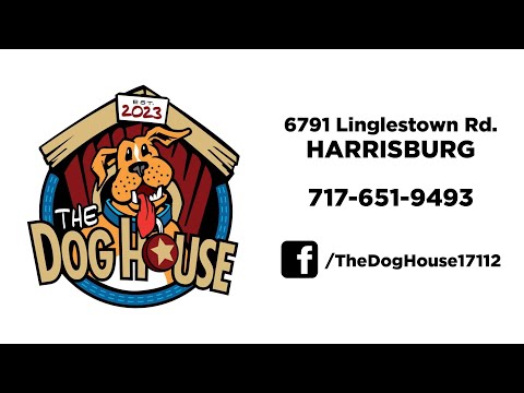 WNNK - Denny Returns to The Doghouse in Linglestown
