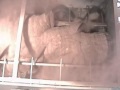126TRDB Iron Oxide