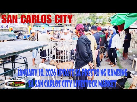 January 10, 2026 Update sa Presyo ng kambing sa San Carlos City Livestock Market #marketday 