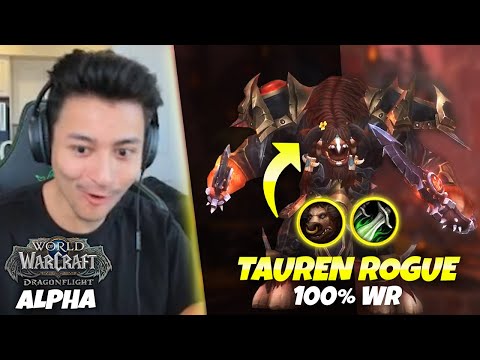 I GOT THE DRAGONFLIGHT ALPHA - First Look at ASSASSINATION ROGUE + World First 1v2 | Pikaboo WoW