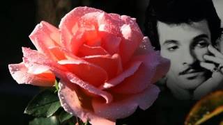 Willy Mink deVille Around The Corner From The Album Where Angels Fear to Tread  1983