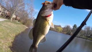 Deeper: Exploring New Waters and Finding Big Bass!