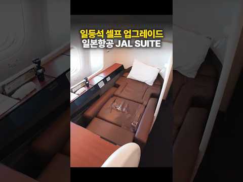 일본 항공 91등석 셀프 업그레이드 비법 공개: 김포 노선 기종 변경 시 꼭 확인하세요!