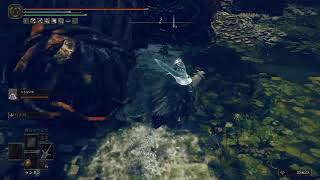 エルデンリングやる【ELDEN RING】