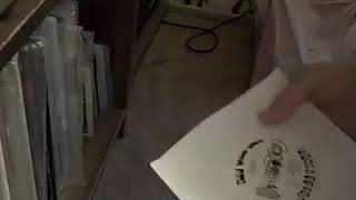 The Pains Of Being Pure At Heart-Self Titled ALBUM REVIEW repost