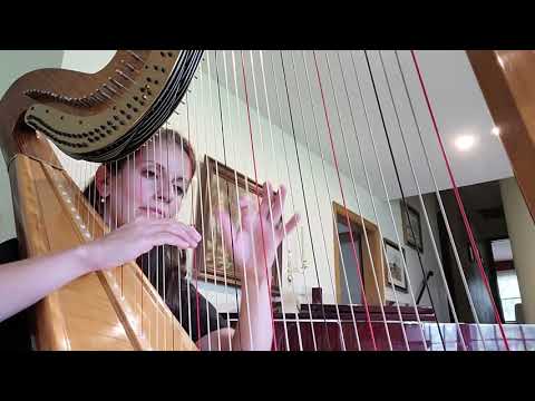 Promotional video thumbnail 3 for Dayton Harpist