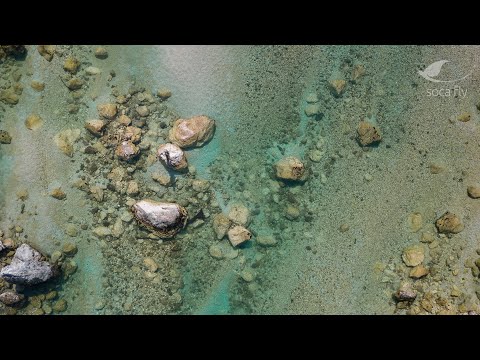 SocaFly - Land of living water