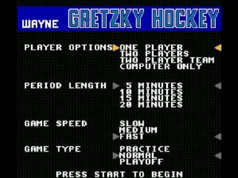 Wayne Gretzky Hockey NES