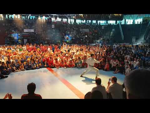 Kancho Nobuaki Kanazawa 8Dan SKIF 13th SKIF World Championships 2019