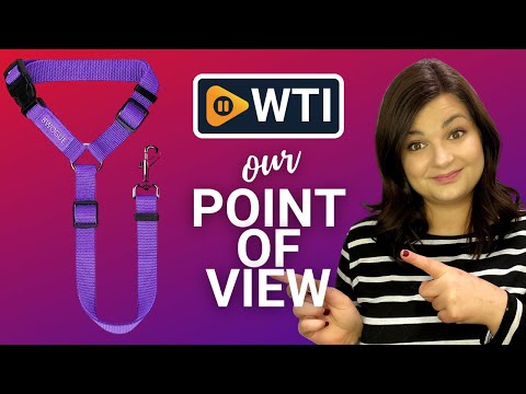 BWOGUE Pet Dog Cat Seat Belts - WTI product video review