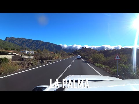 Best of ASOT1253 | Dennis Sheperd, LK, Sarah Ikumu - Higher (Richard Durand Remix) AND Cold Blue set