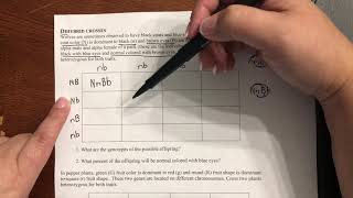 Solving Dihybrid Crosses