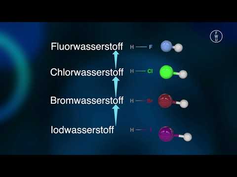 FWU - Halogene - Trailer