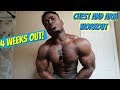 4 Weeks Out | Chest & Arm Workout