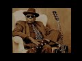 John Lee Hooker sings "John Henry"