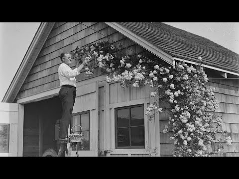 Say Arabella George Olsen with vocal by Billy Murray (1877-1954)