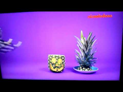 Nickelodeon cee continuity 25.01.2020